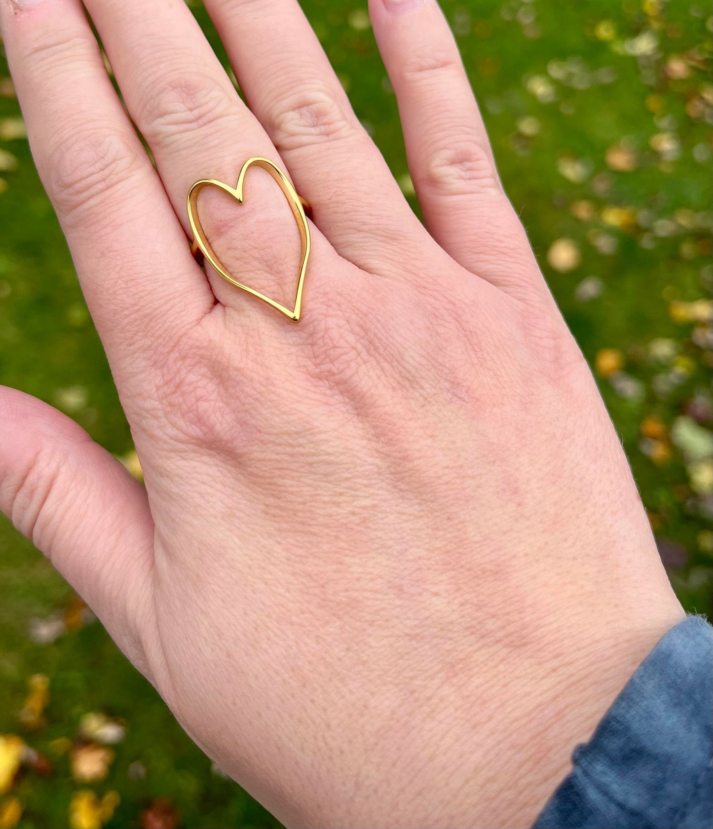 Skye Hollow Heart Ring